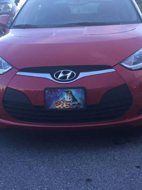 funny-pictures-1260