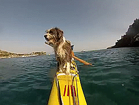 man_kayaking