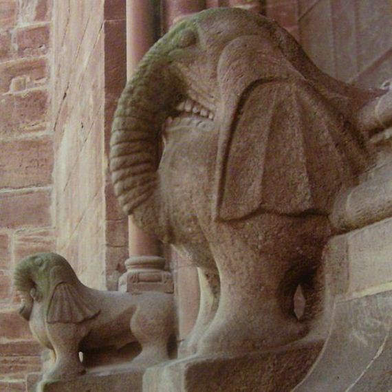 pictures_of_elephants