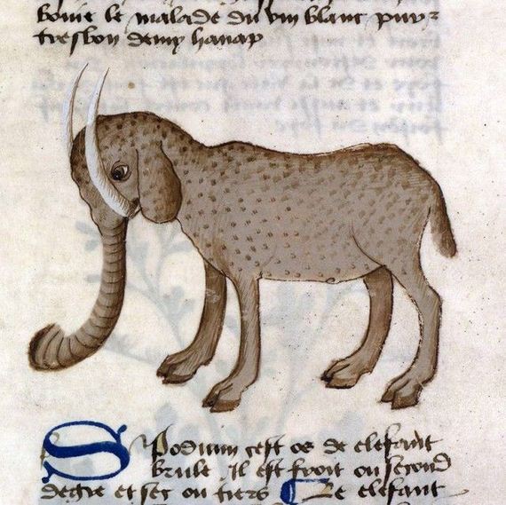 pictures_of_elephants