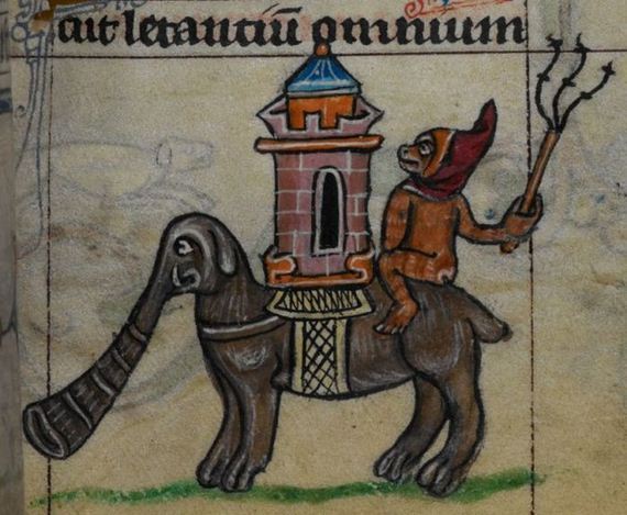 pictures_of_elephants