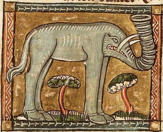 pictures_of_elephants