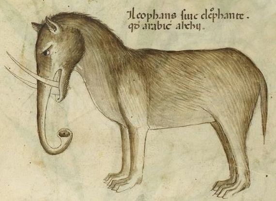 pictures_of_elephants