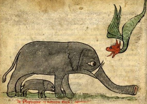 pictures_of_elephants