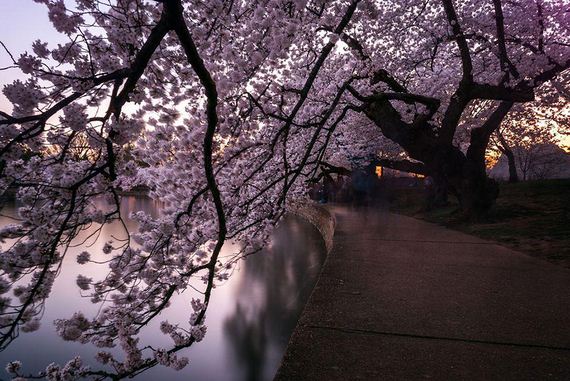 spring-japan