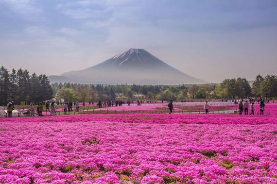spring_in_japan