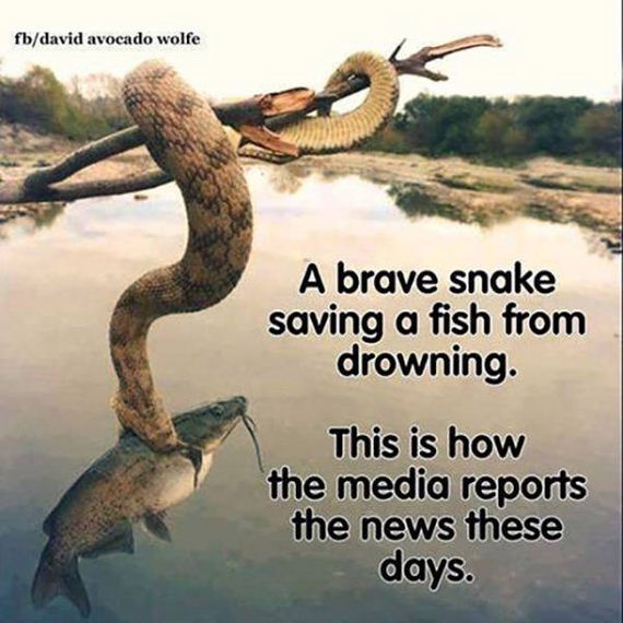 sweet_dose_of_truth
