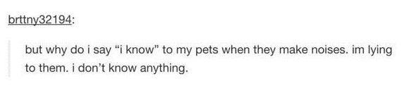 tumblr-can-get-deep