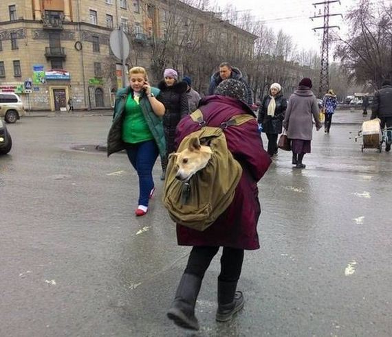 wtf_is_russias_normal