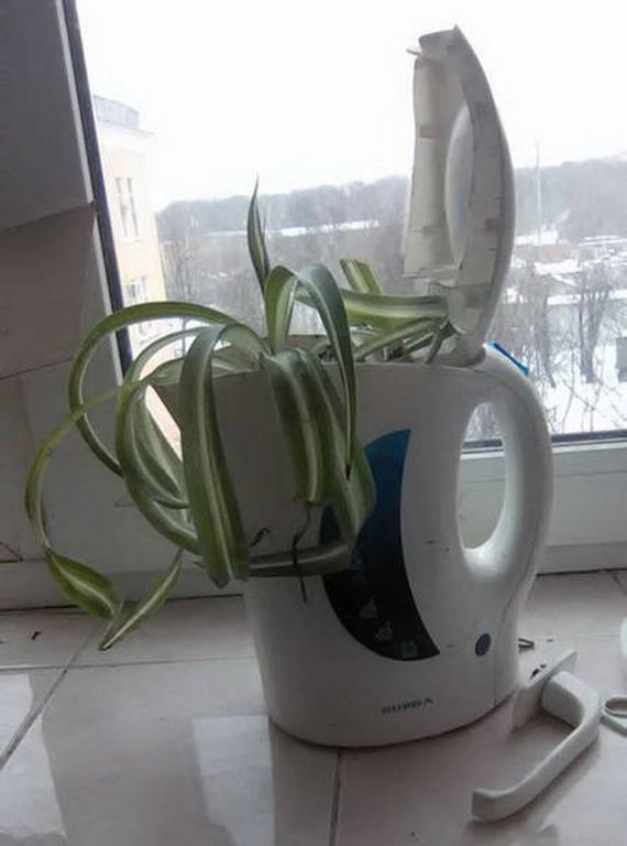 wtf_is_russias_normal