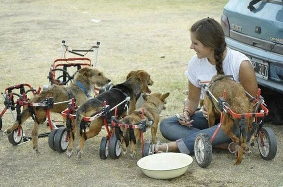 Amazing-Photographs