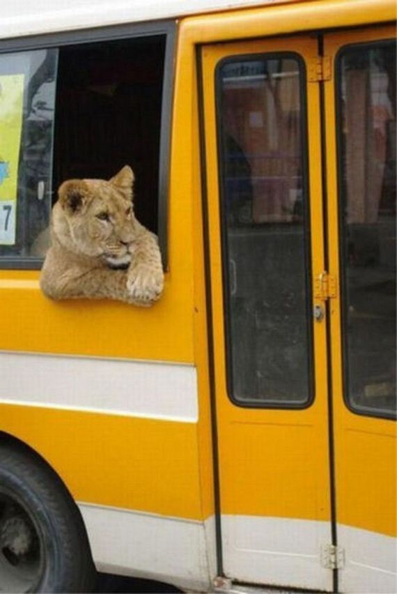 Amazing-Photographs