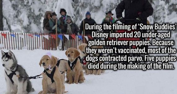 Fun-Facts-10-24
