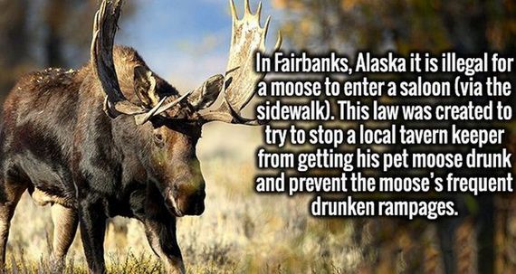 Fun-Facts-10-24