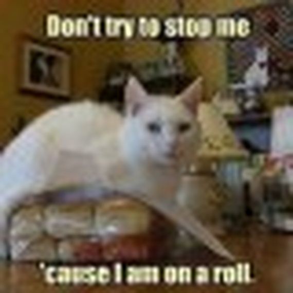 Funny-Puns-9-8