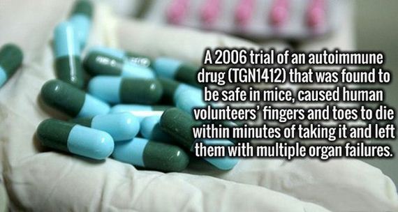 Interesting-Facts