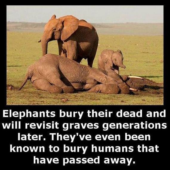 Interesting-Facts