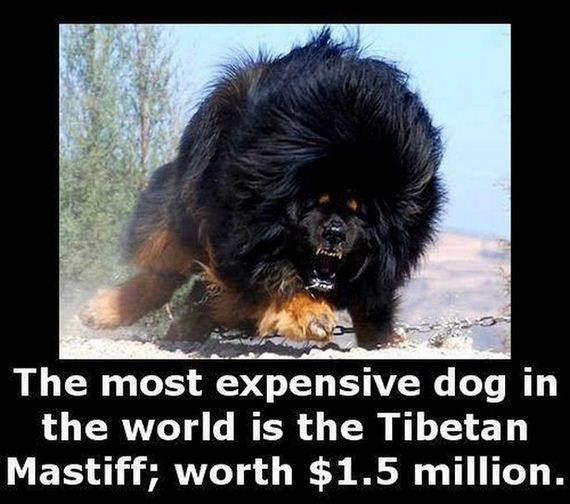 Interesting-Facts