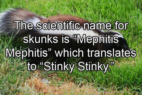 Interesting-Facts