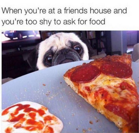 Things-We-Can-All-Relate-To