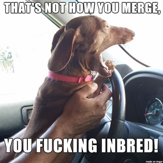 angry-driver-memes-are-all-the-rage