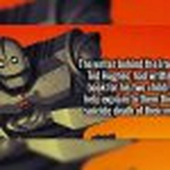 animals-are-the-driving-force-behind-the-internet