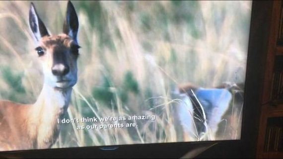 bbc-accidentally-broadcasts