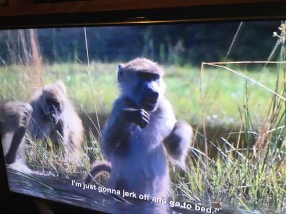 bbc-accidentally-broadcasts