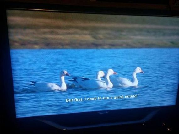 bbc-accidentally-broadcasts