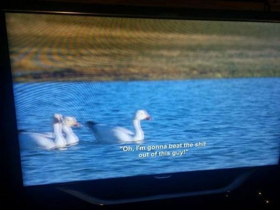 bbc-accidentally-broadcasts