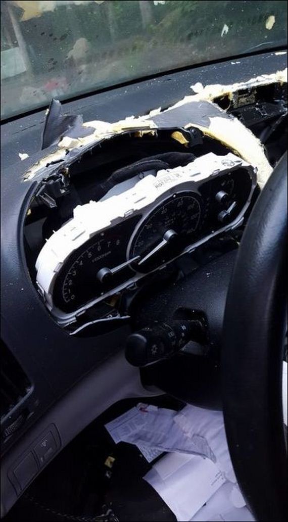 bear_car