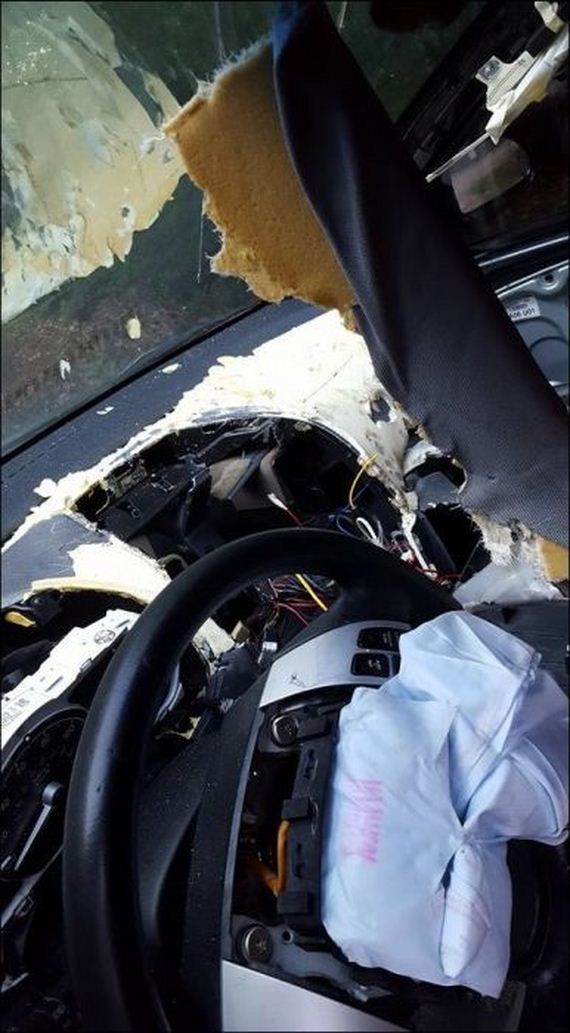 bear_car