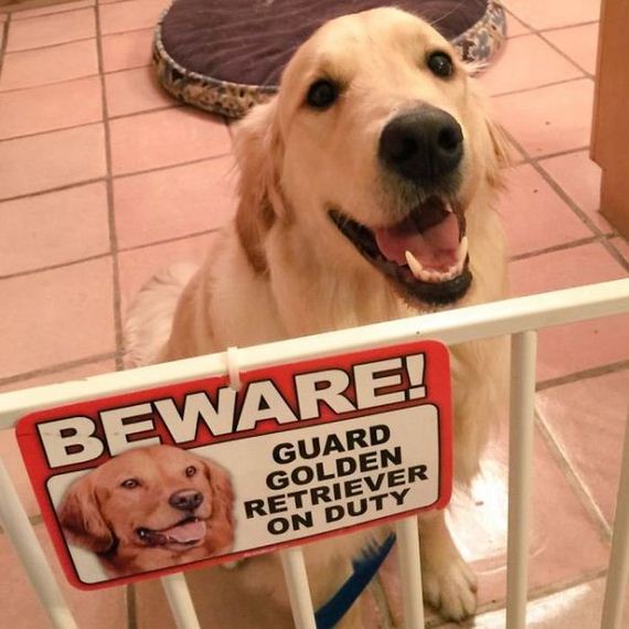 beware_of_the_dog_signs