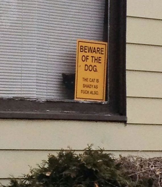 beware_of_the_dog_signs