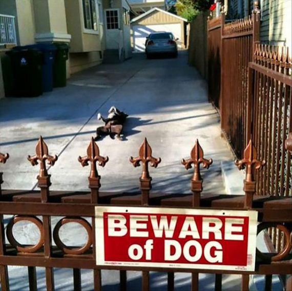 beware_of_the_dog_signs