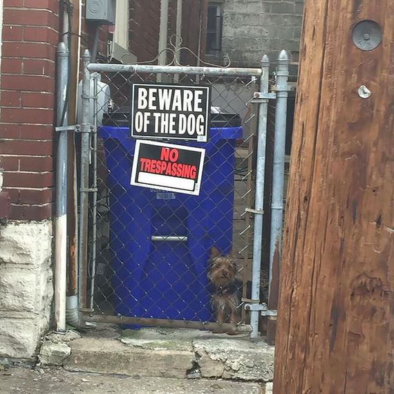 beware_of_the_dog_signs