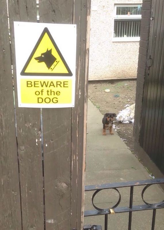 beware_of_the_dog_signs