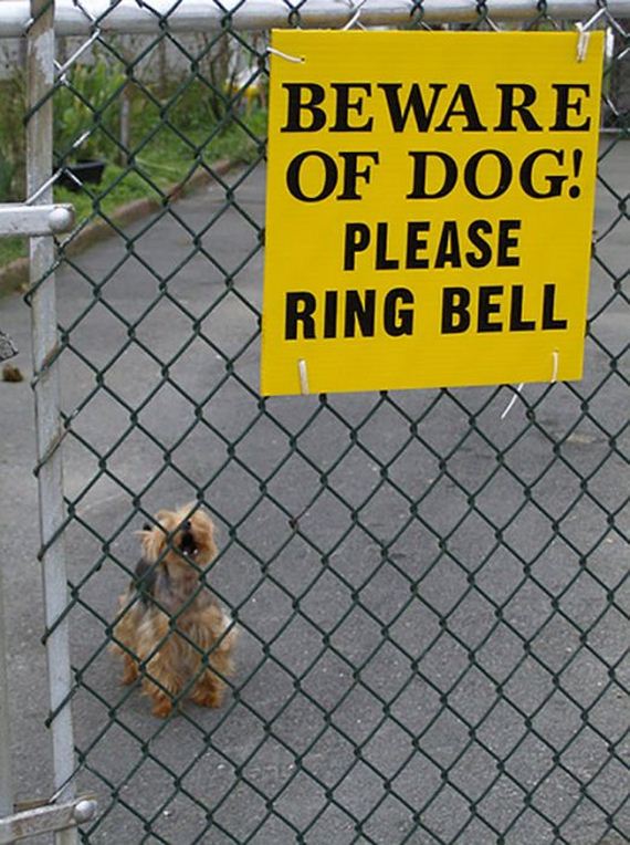 beware_of_the_dog_signs
