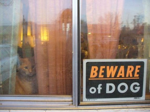 beware_of_the_dog_signs