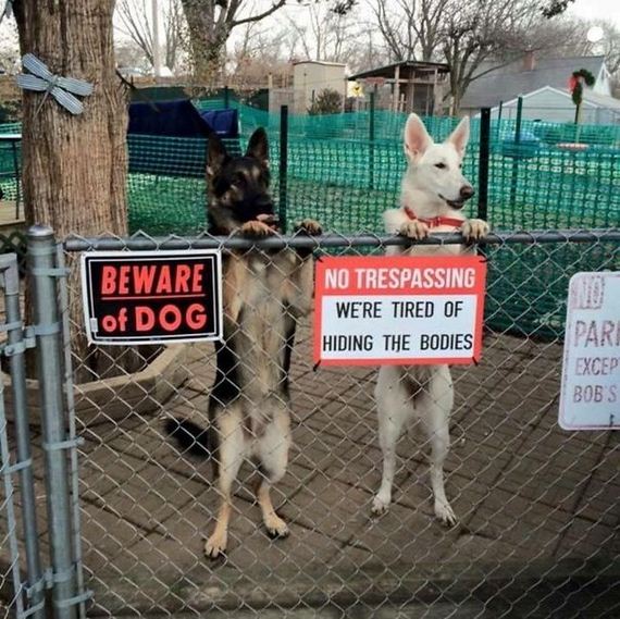 beware_of_the_dog_signs