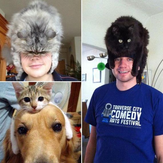 cat_hat
