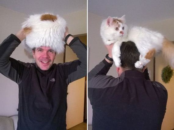 cat_hat