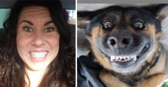 dog-doppelgangers-funny-alike