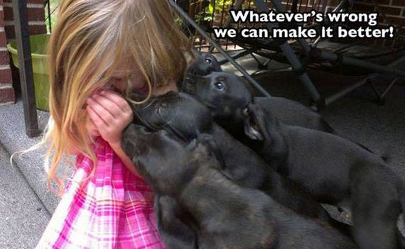 dog_can_relate