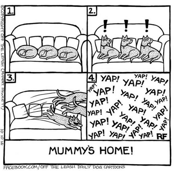 dog_can_relate