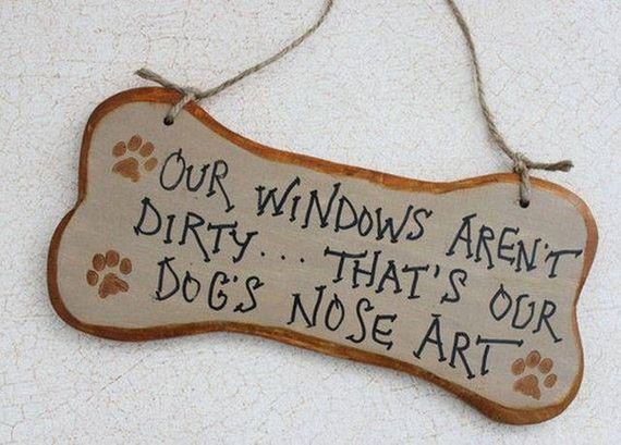 dog_can_relate