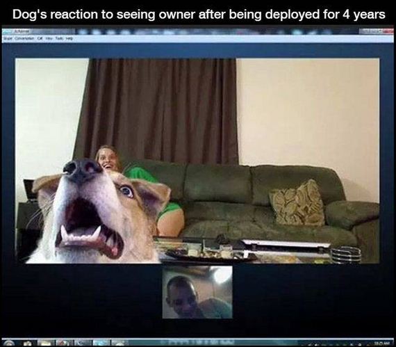 dog_can_relate