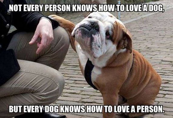 dog_can_relate