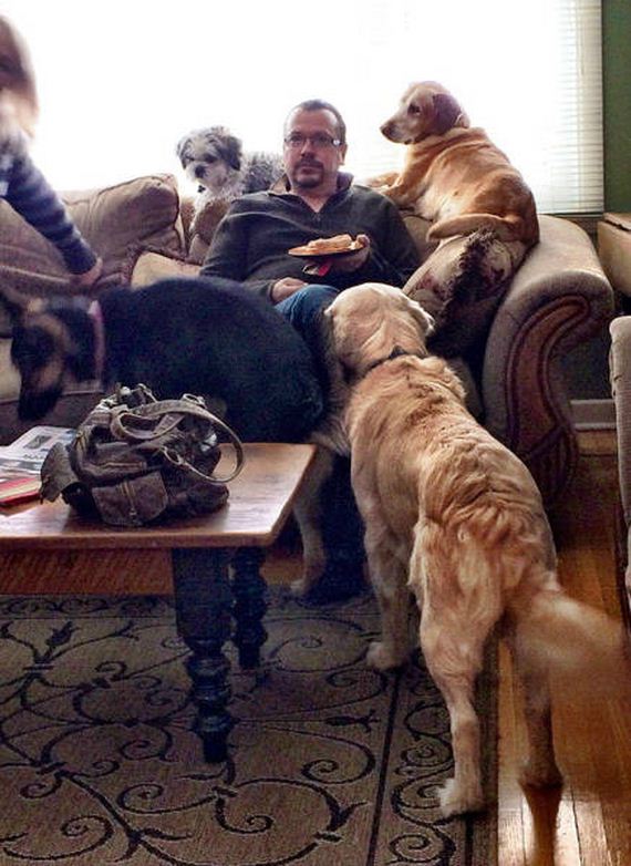 dog_can_relate