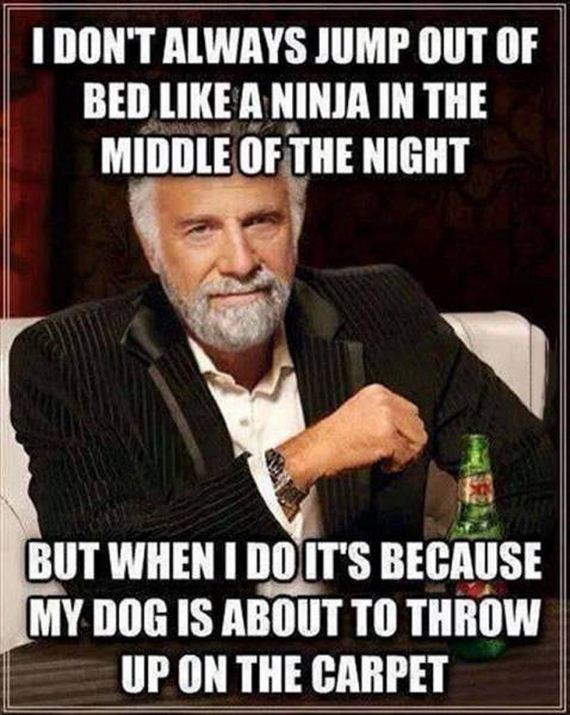 dog_can_relate
